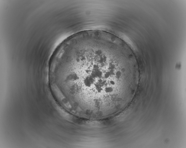 X0000091011079200708161953