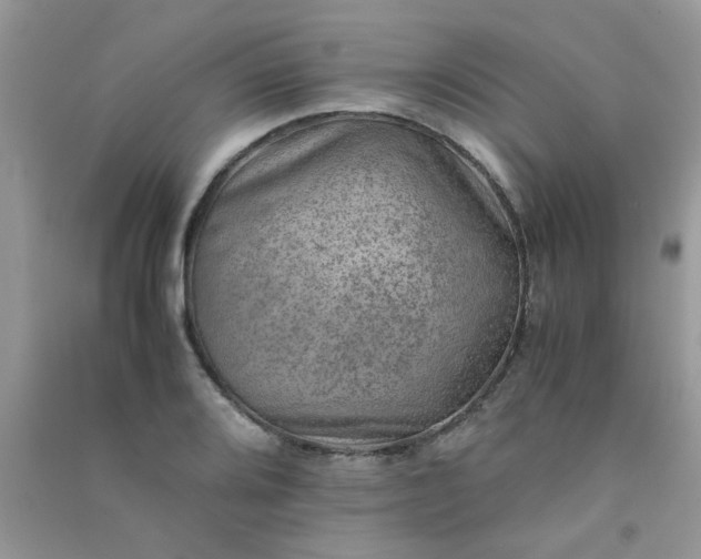 X0000091011080200708161953