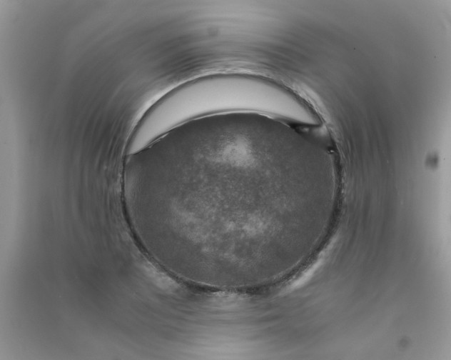 X0000091011081200708161953