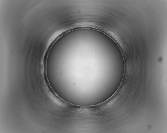 X0000091011082200708161953