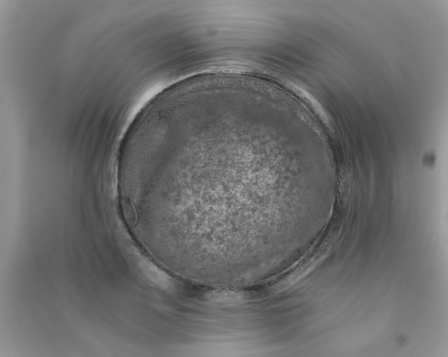 X0000091011083200708161953