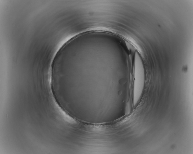 X0000091011084200708161953