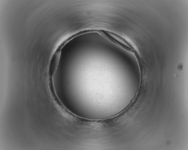 X0000091011085200708161953