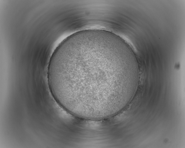 X0000091011086200708161953