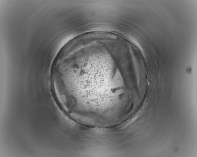 X0000091011087200708161953