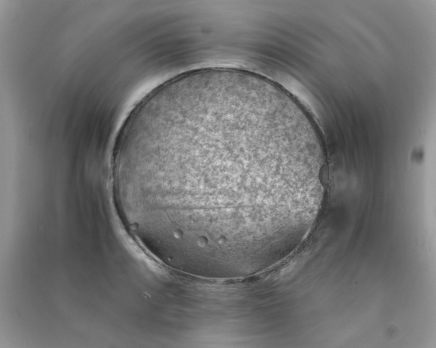 X0000091011088200708161953