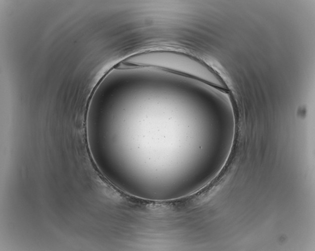 X0000091011089200708161953