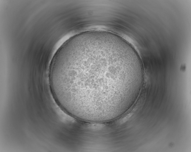 X0000091011090200708161953