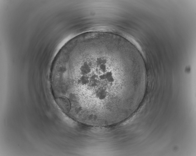 X0000091011091200708161953