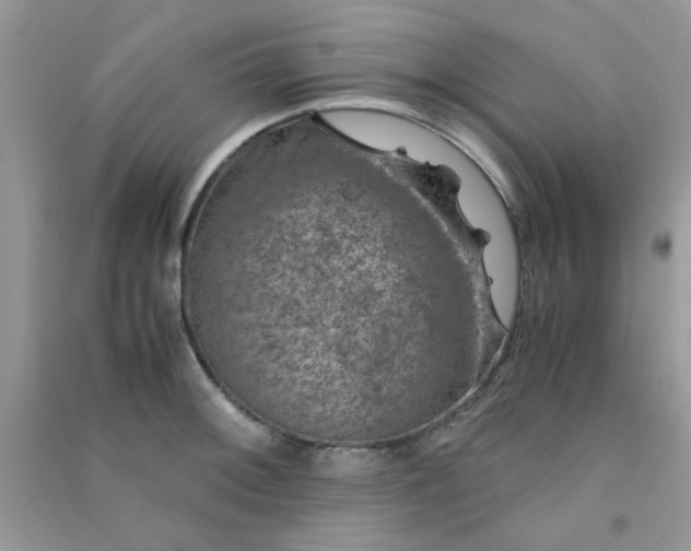 X0000091011092200708161953