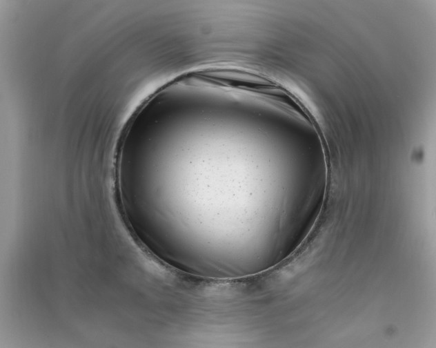 X0000091011093200708161953