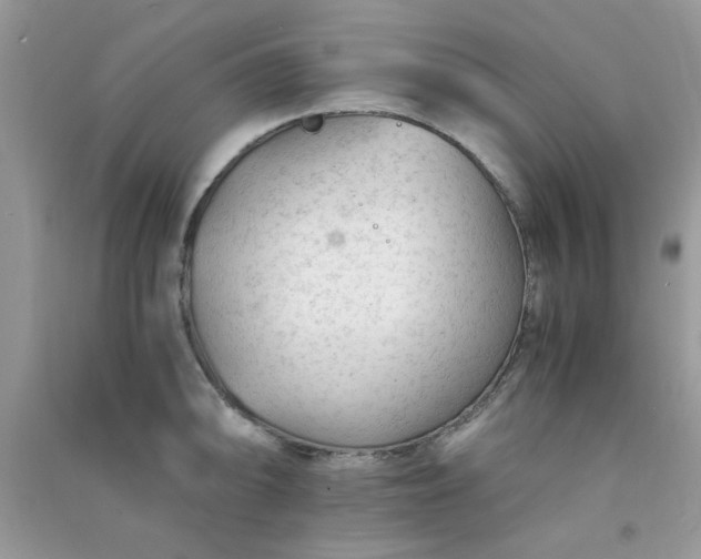 X0000091011094200708161953