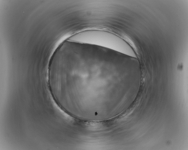 X0000091011095200708161953