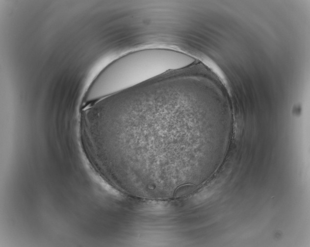X0000091011096200708161953