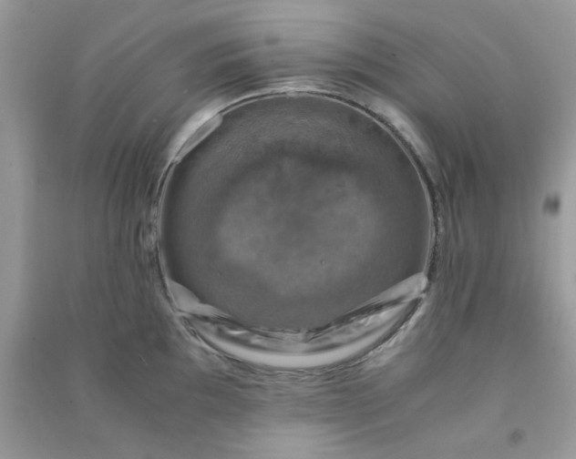 X0000091011097200708161953