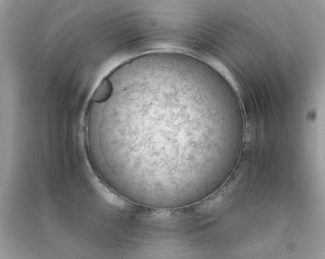 X0000091011098200708161953