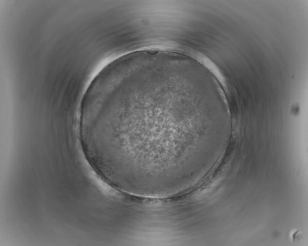 X0000091011099200708161953