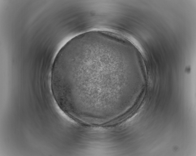 X0000091011100200708161953