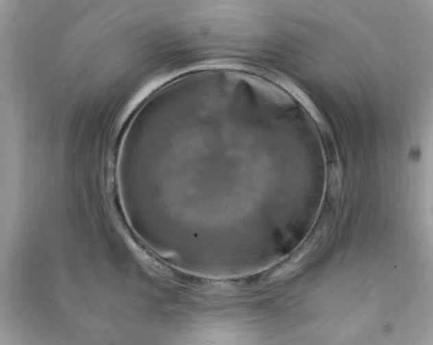 X0000091011101200708161953