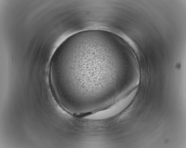 X0000091011102200708161953