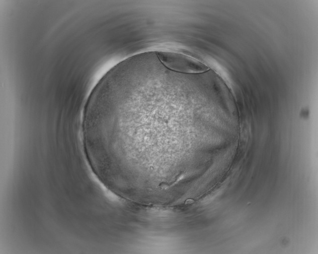 X0000091011103200708161953