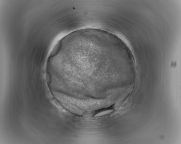 X0000091011104200708161953