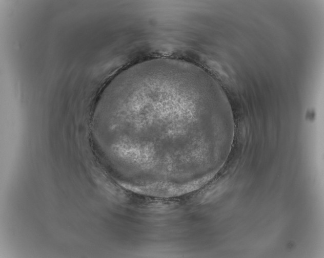 X0000091011105200708161952