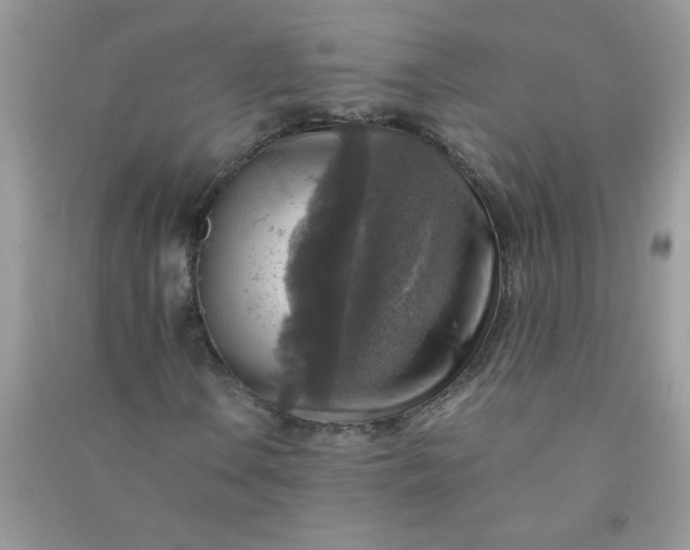 X0000091011106200708161952