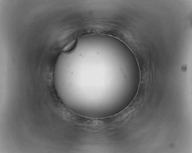 X0000091011109200708161952