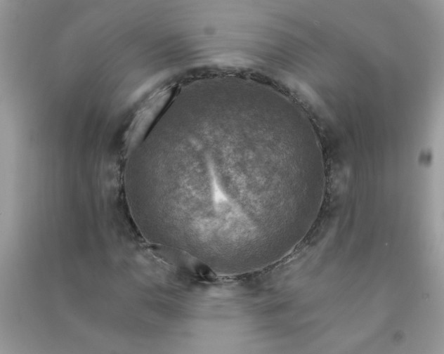 X0000091011110200708161952