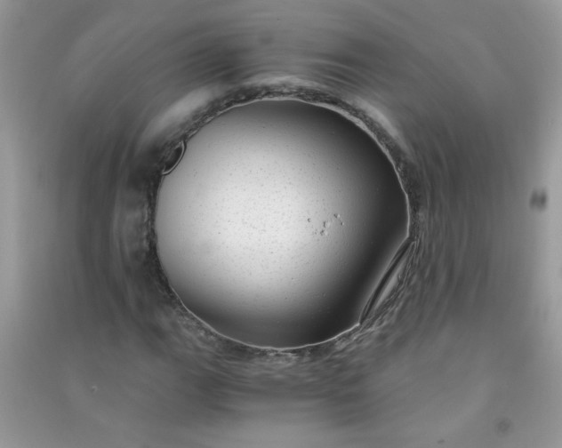 X0000091011111200708161952