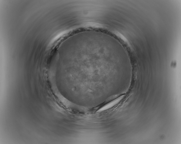 X0000091011112200708161952