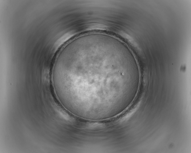 X0000091011113200708161952
