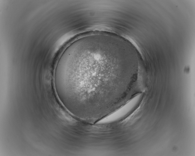 X0000091011115200708161952