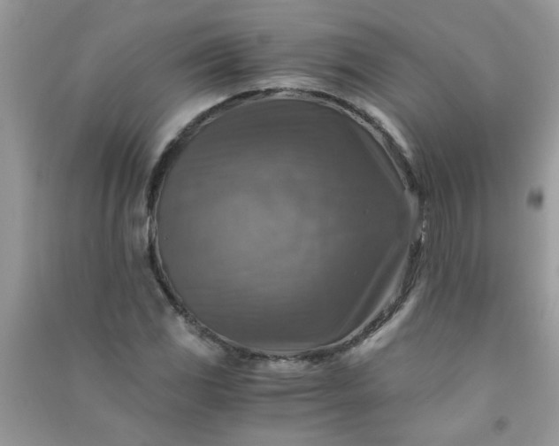 X0000091011117200708161952