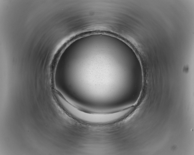 X0000091011118200708161952