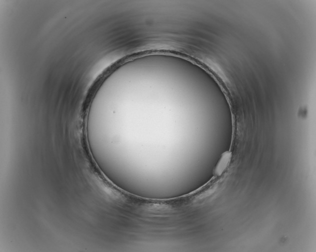 X0000091011119200708161952
