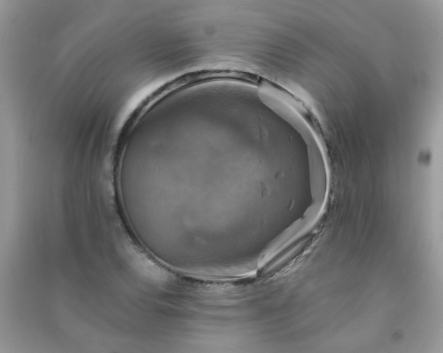 X0000091011120200708161952