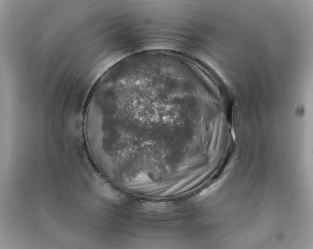 X0000091011121200708161953