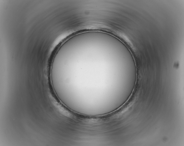 X0000091011122200708161953