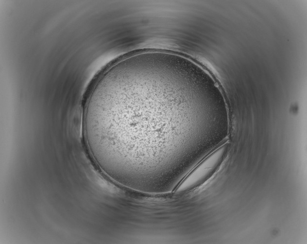 X0000091011123200708161953