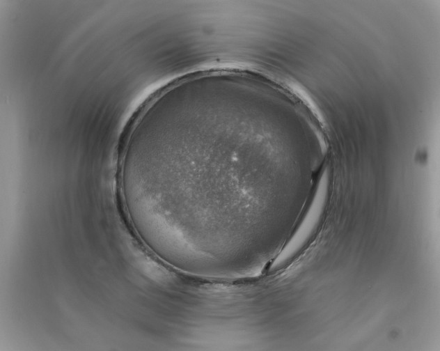 X0000091011124200708161953