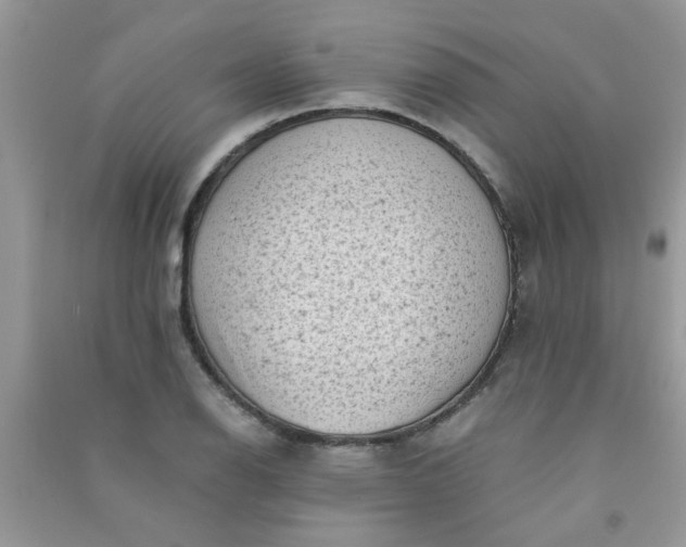 X0000091011126200708161953