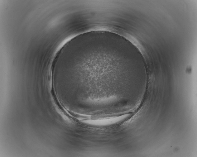 X0000091011127200708161953