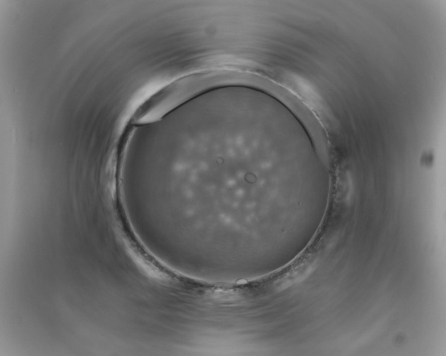 X0000091011128200708161953