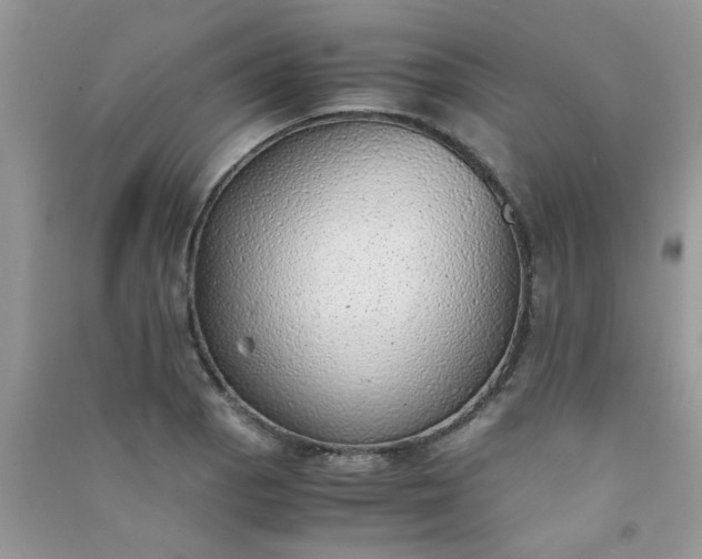 X0000091011129200708161953