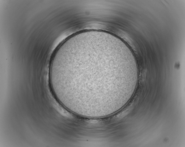 X0000091011130200708161953