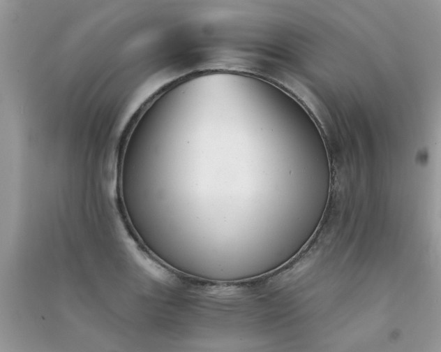 X0000091011131200708161953