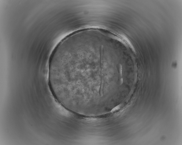 X0000091011132200708161953