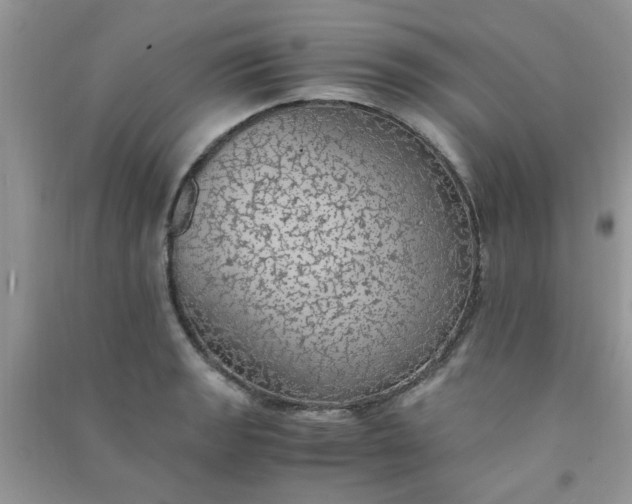 X0000091011133200708161953